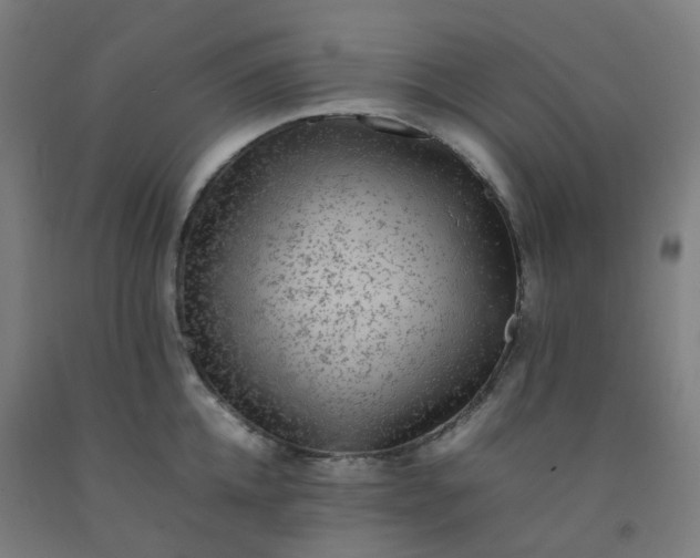 X0000092250952200709281141