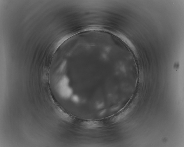 X0000092250953200709281141