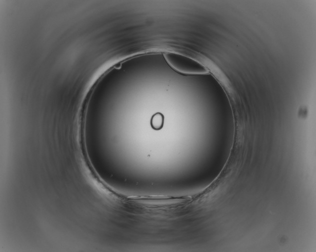 X0000092250955200709281141