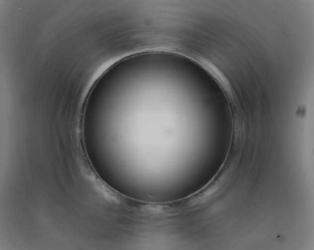 X0000092250956200709281141