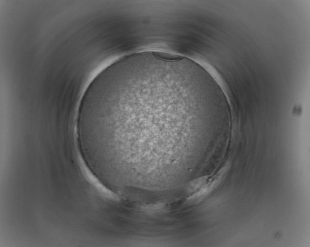 X0000092250957200709281141