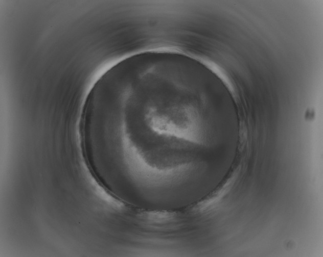 X0000092250959200709281141