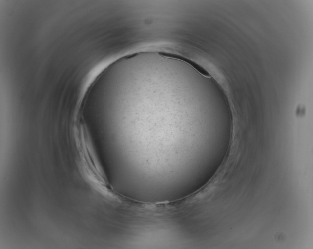 X0000092250960200709281141