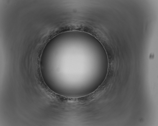 X0000092250961200709281141