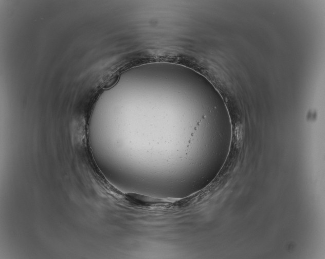 X0000092250963200709281141