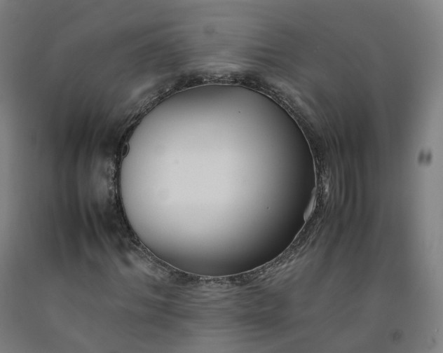 X0000092250964200709281141