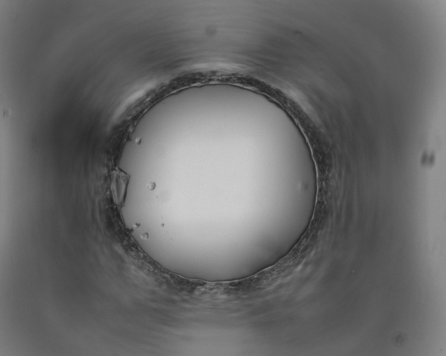 X0000092250967200709281141