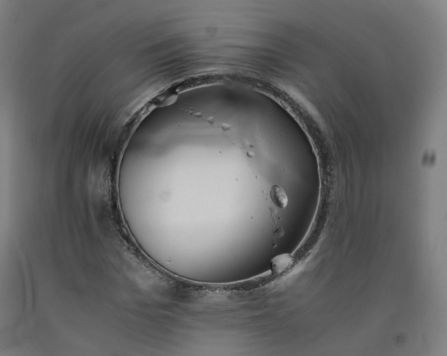 X0000092250969200709281141