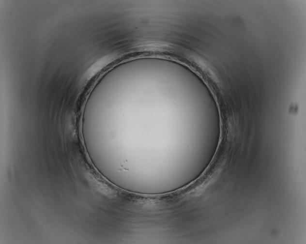 X0000092250970200709281141