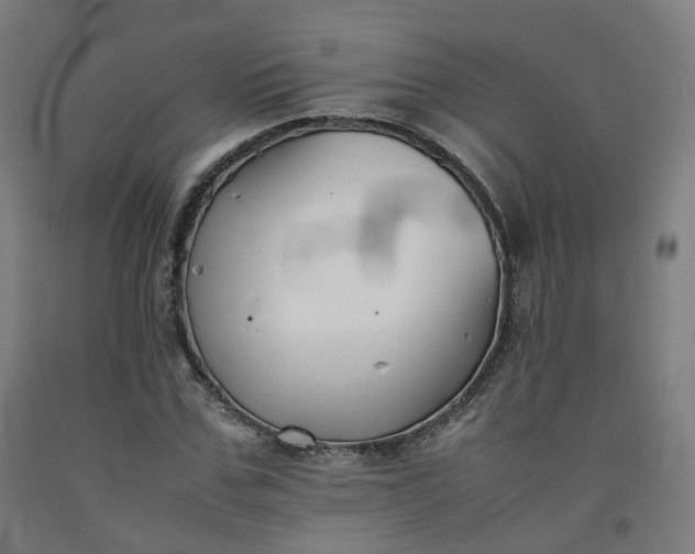 X0000092250971200709281141