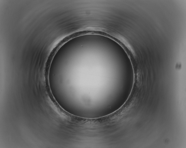 X0000092250972200709281141