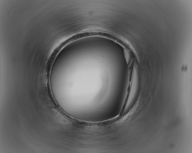 X0000092250973200709281141