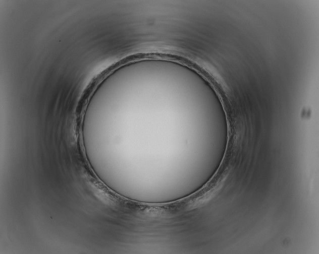 X0000092250974200709281140