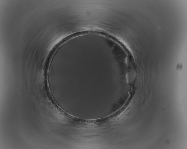 X0000092250975200709281140