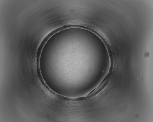 X0000092250976200709281140