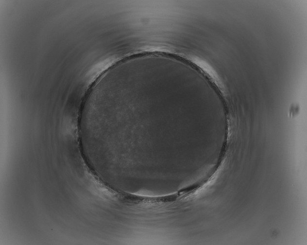 X0000092250977200709281140