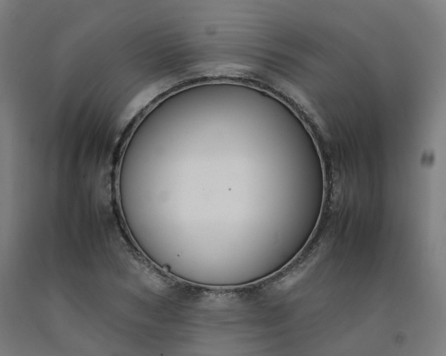 X0000092250978200709281140