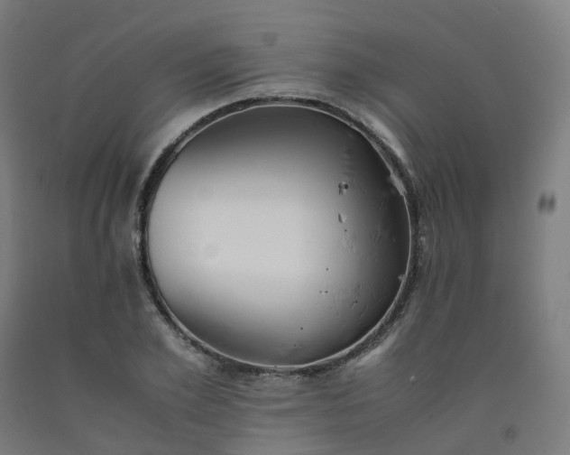 X0000092250981200709281140