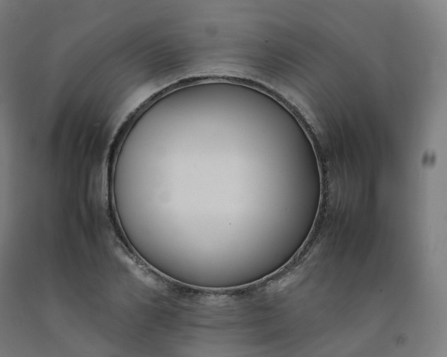 X0000092250982200709281140