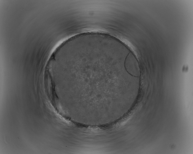 X0000092250983200709281140