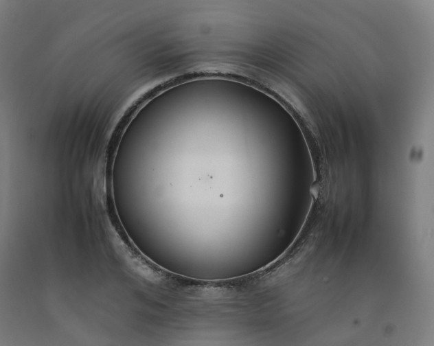 X0000092250984200709281140