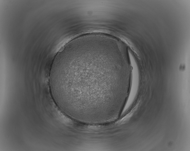 X0000092250985200709281140