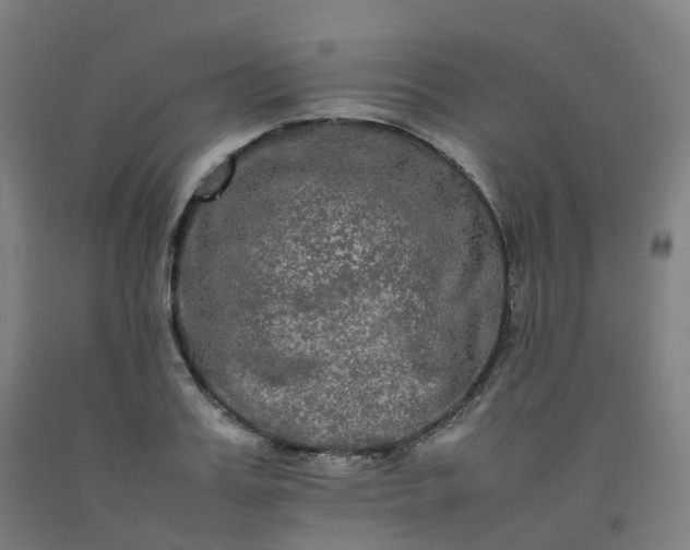 X0000092250987200709281140