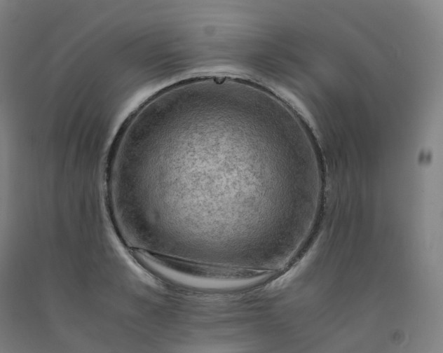 X0000092250989200709281140