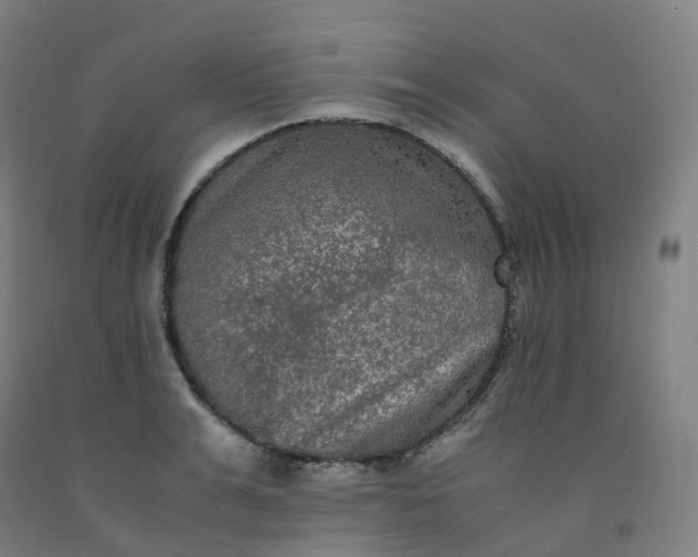 X0000092250991200709281140