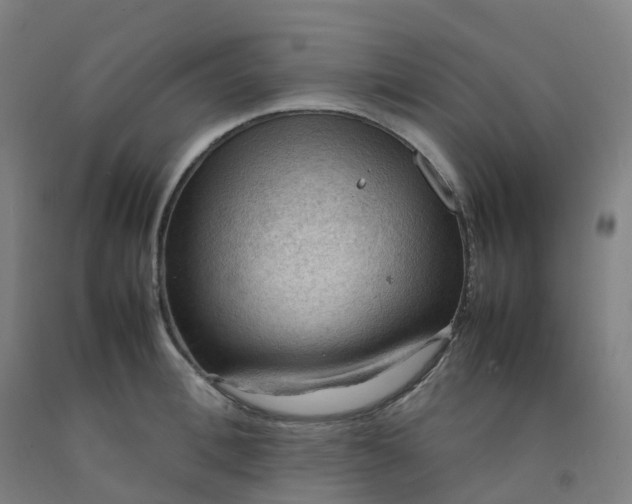 X0000092250996200709281140