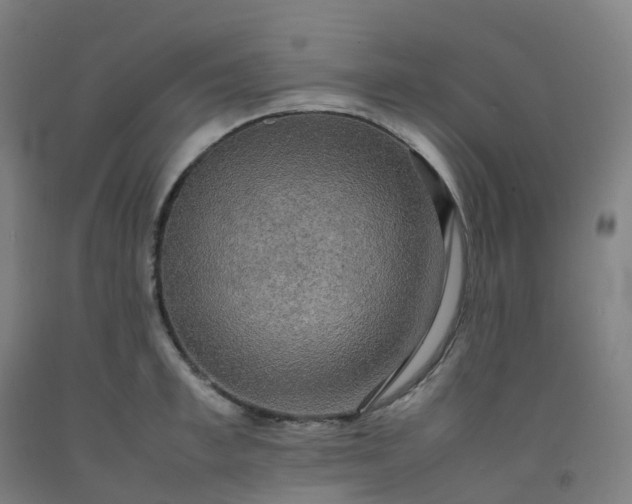 X0000092250997200709281140