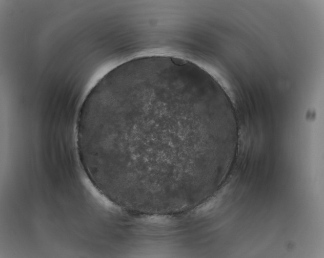 X0000092250998200709281140