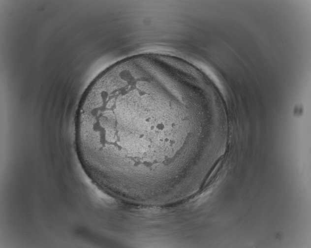 X0000092250999200709281140