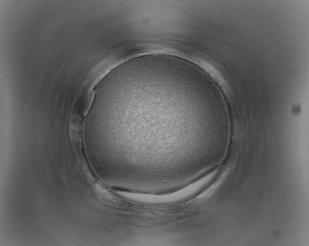 X0000092251001200709281140