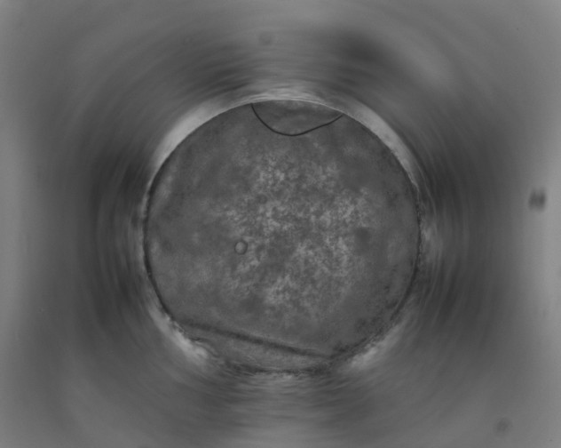 X0000092251002200709281140