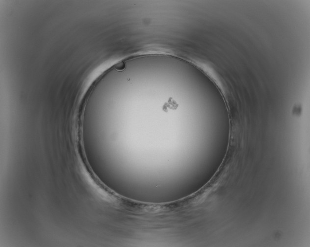 X0000092251003200709281140