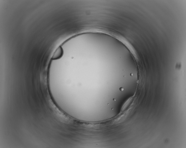 X0000092251004200709281140