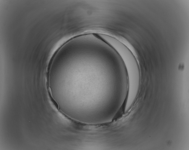 X0000092251005200709281140