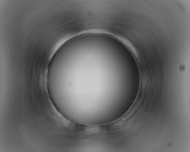 X0000092251006200709281140