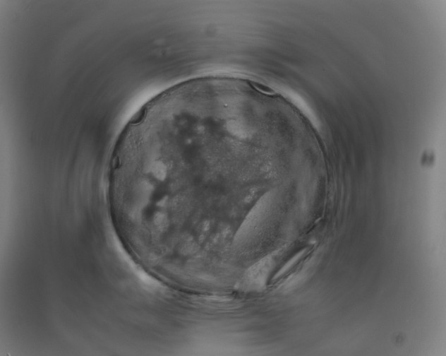 X0000092251007200709281140