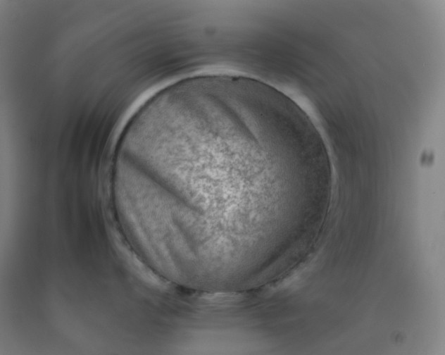 X0000092251008200709281140