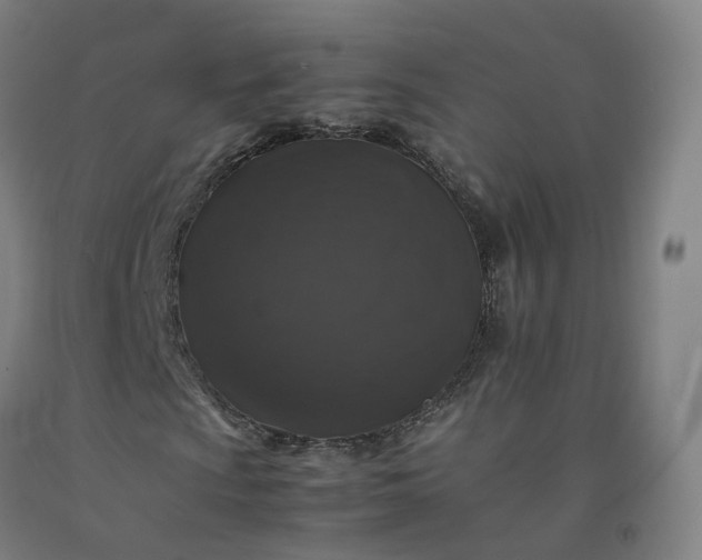 X0000092251009200709281139