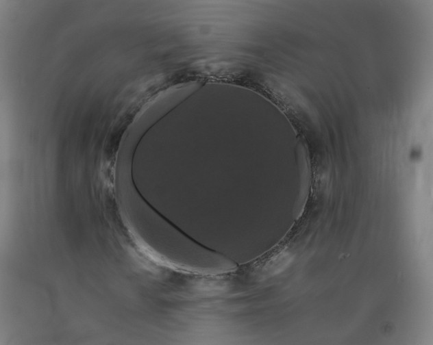 X0000092251010200709281139