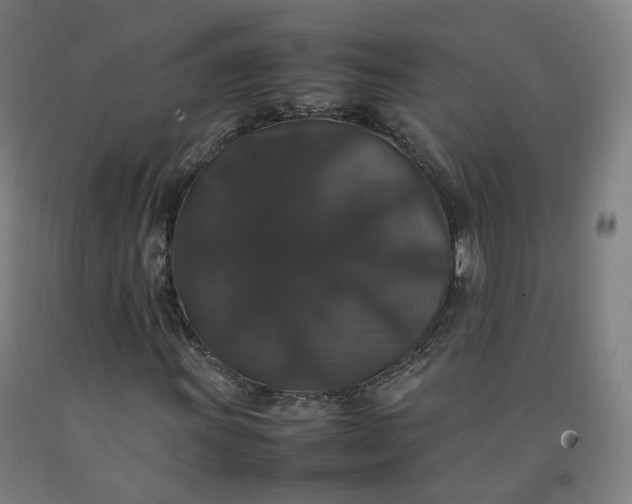 X0000092251011200709281139