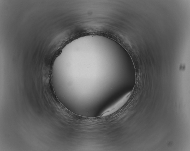 X0000092251012200709281140