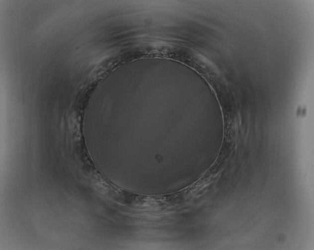 X0000092251013200709281140