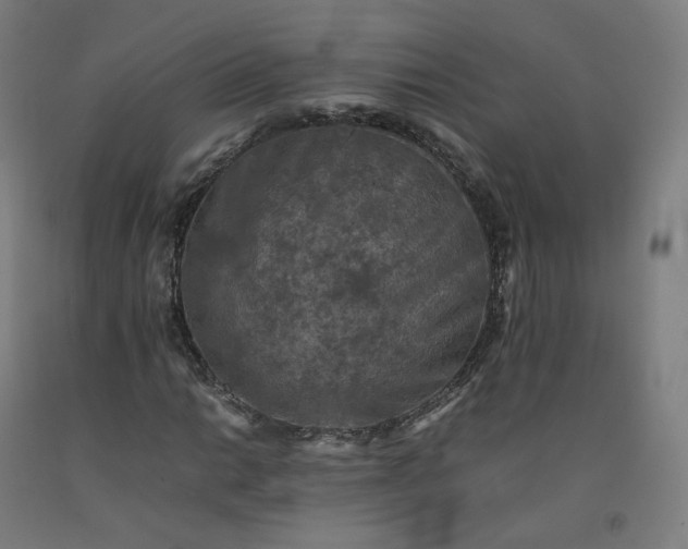 X0000092251014200709281140