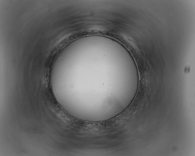 X0000092251015200709281140