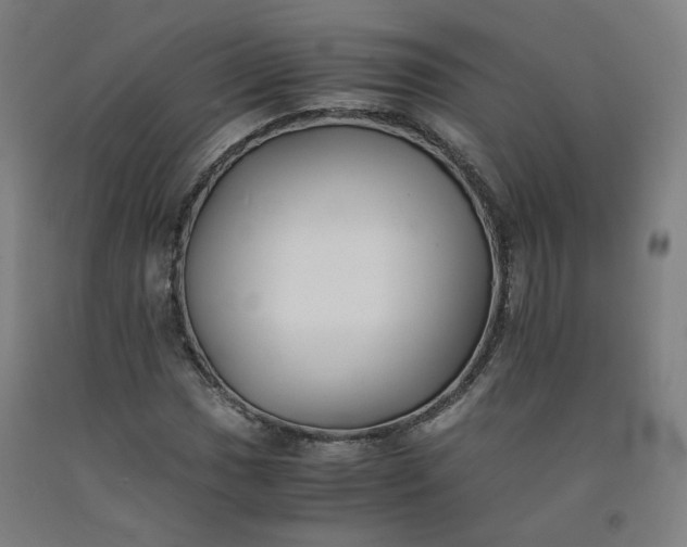 X0000092251017200709281140