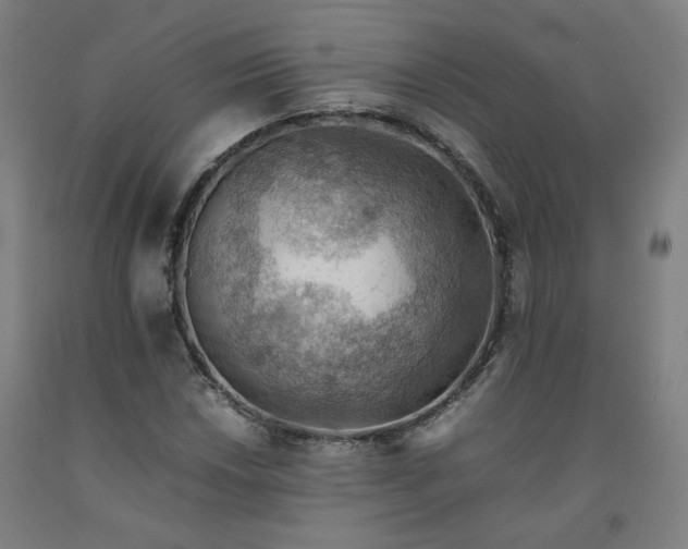 X0000092251018200709281140